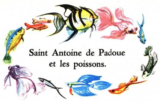 St antoine et les poissons